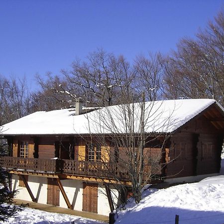 Appartement Chalet Renove 6 Pers Avec Terrasse Proche Evian, Ski Et Randonnee - Fr-1-498-29 Saint-Paul-en-Chablais Exteriör bild